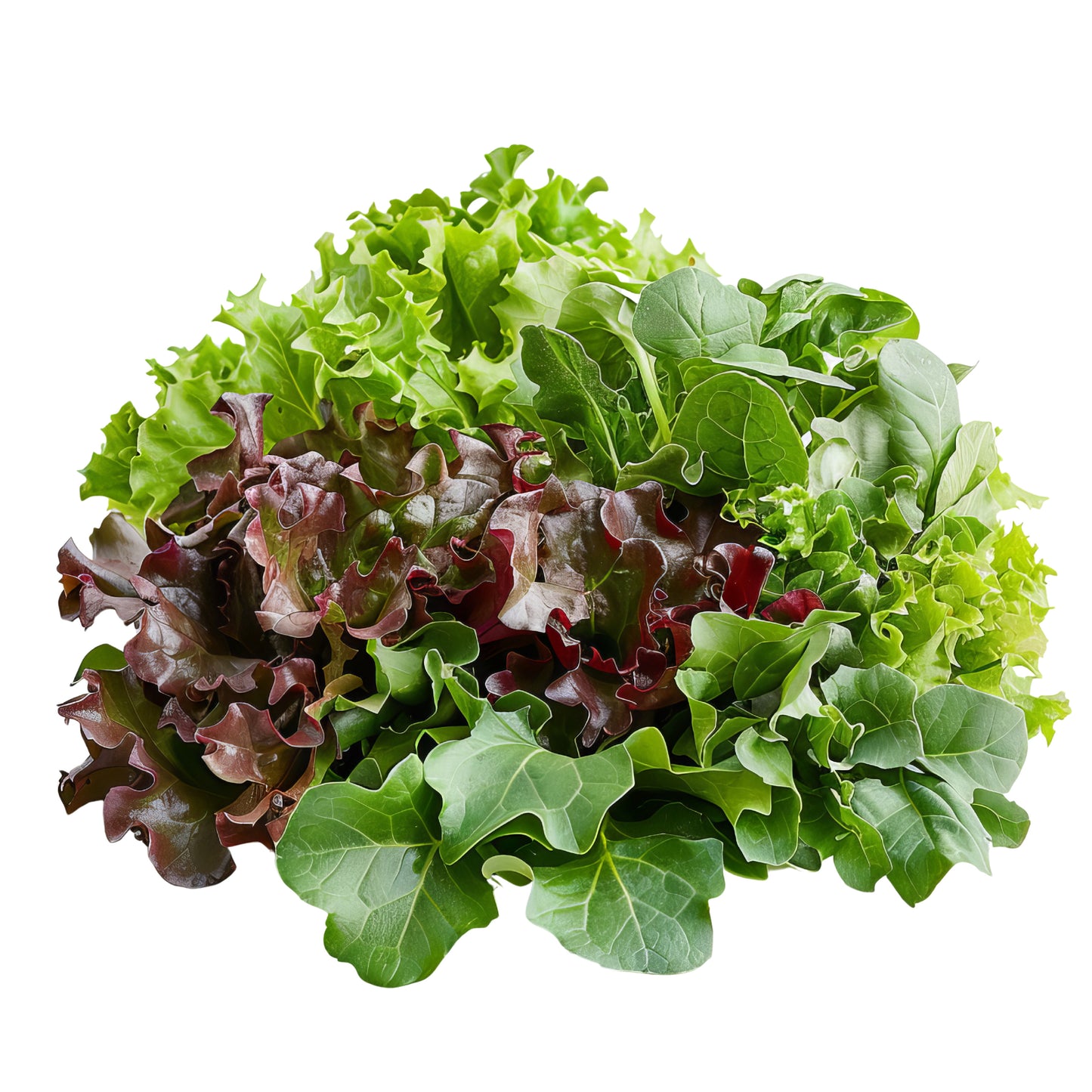 Spring Mix Salad - Case with a bag of 3 lbs.