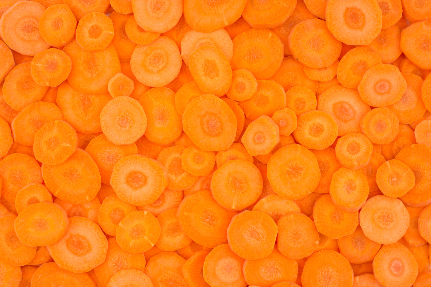 Carrot Jumbo - Bag of 25 lbs.
