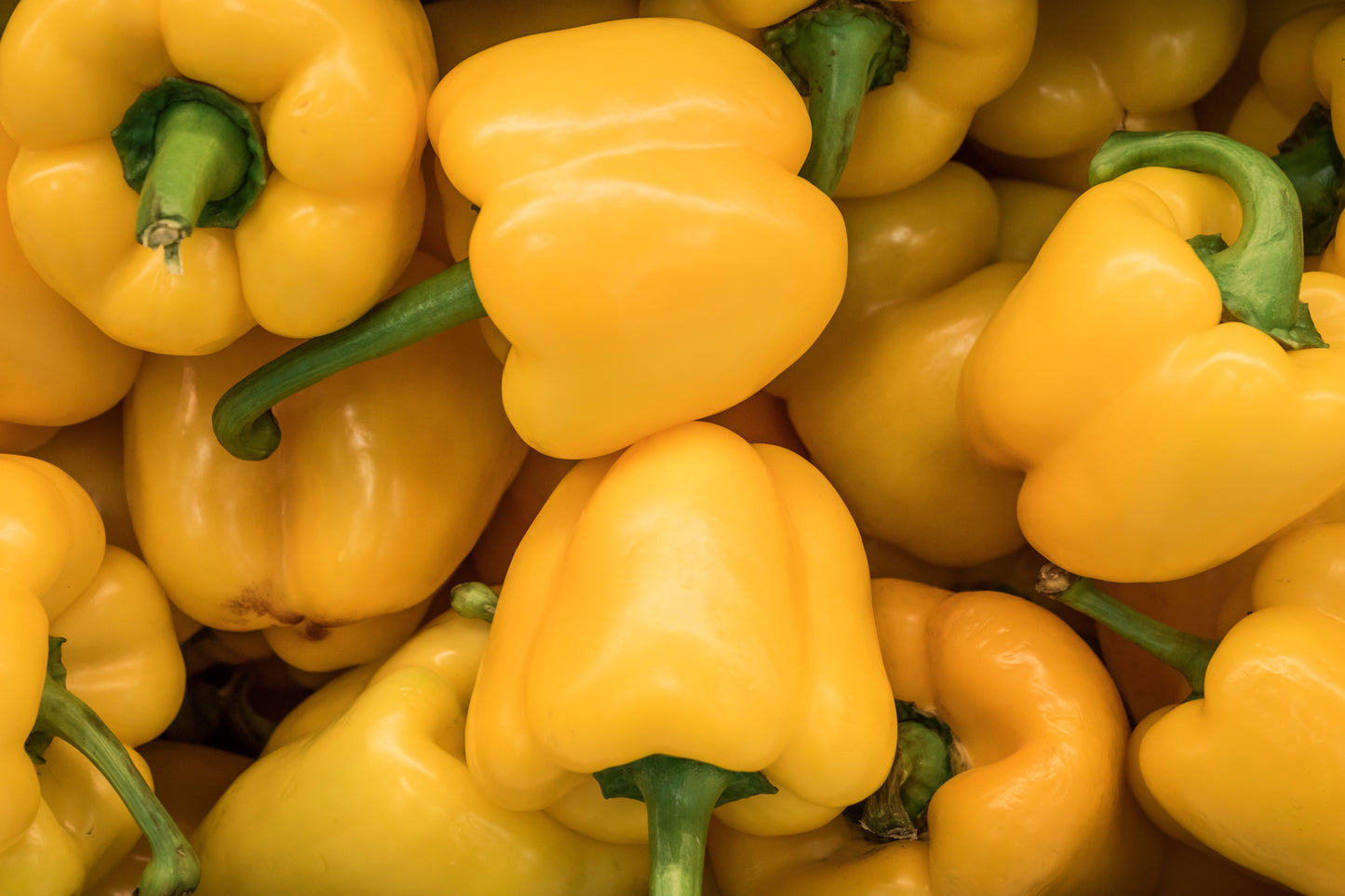 Bell Pepper Mix - 36 Lbs - Red | Green | Yellow