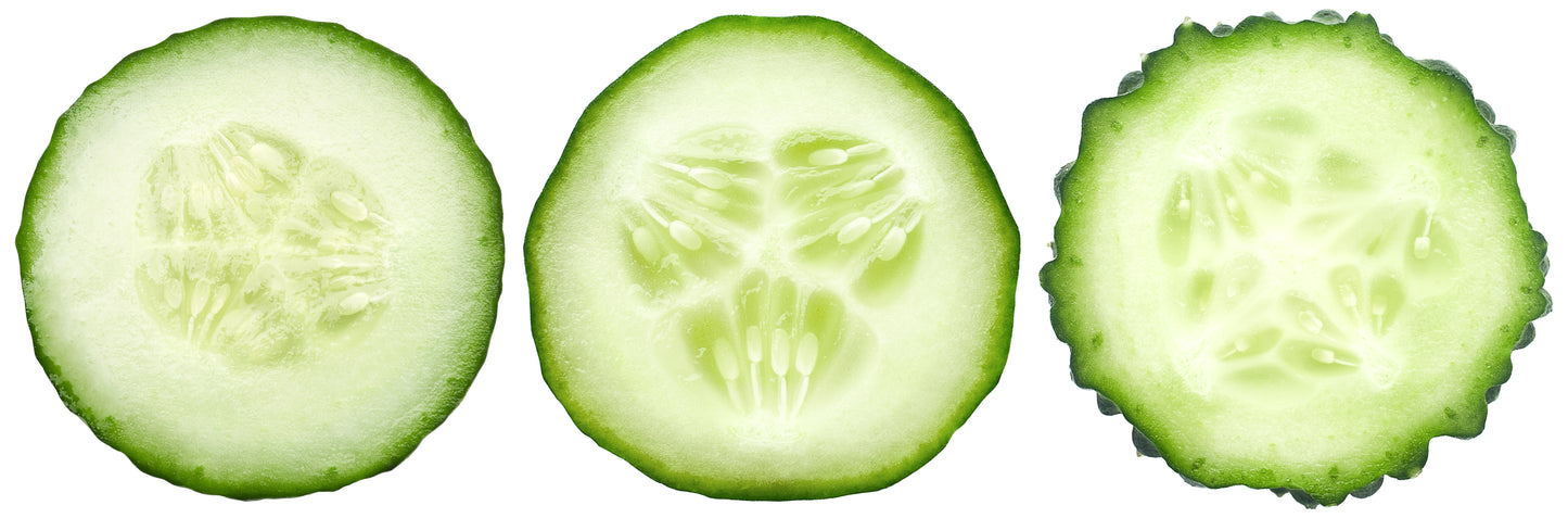 Cucumber Jumbo - Bag of 40 lbs.