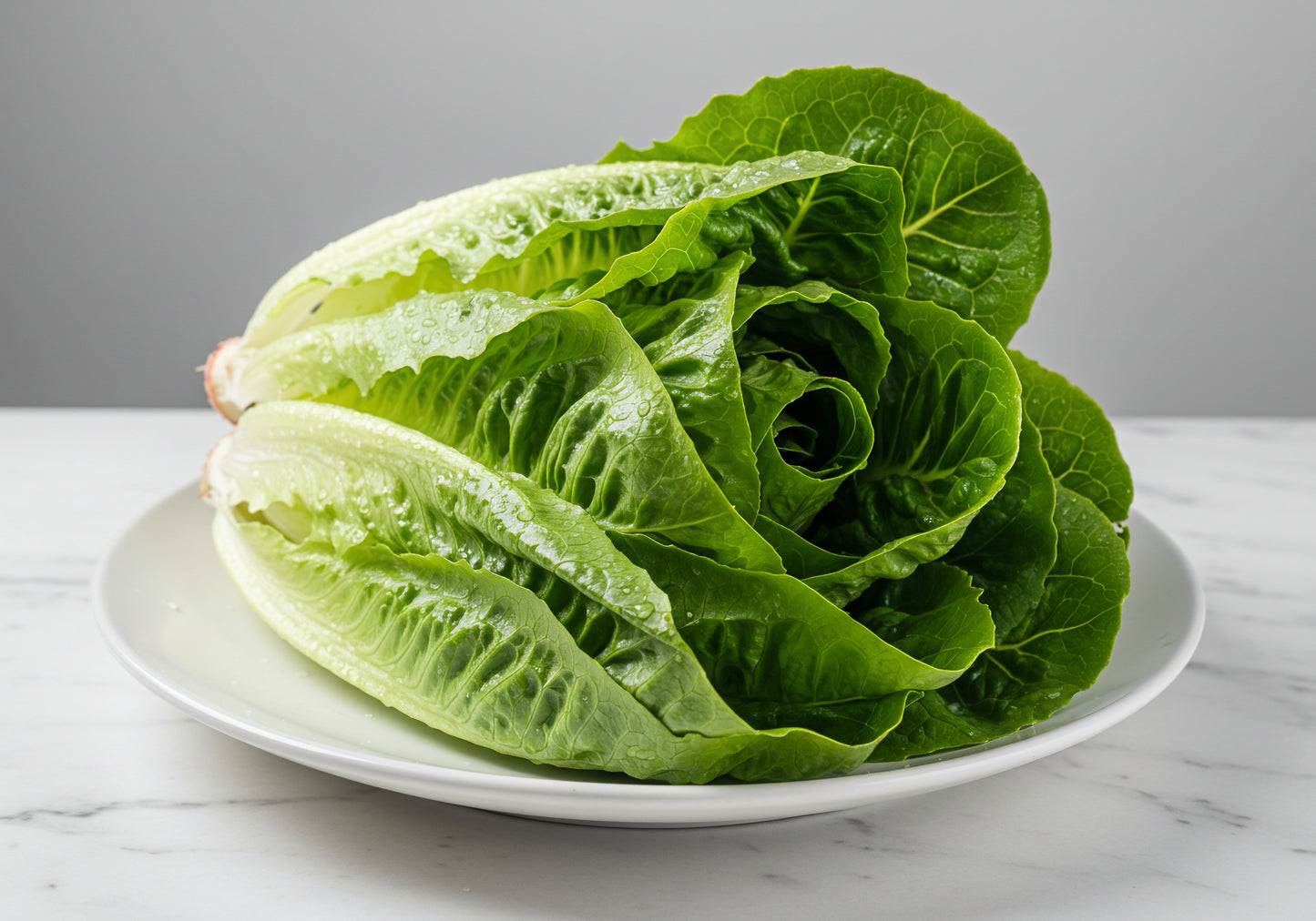 Romaine Lettuce / Case w/24 heads
