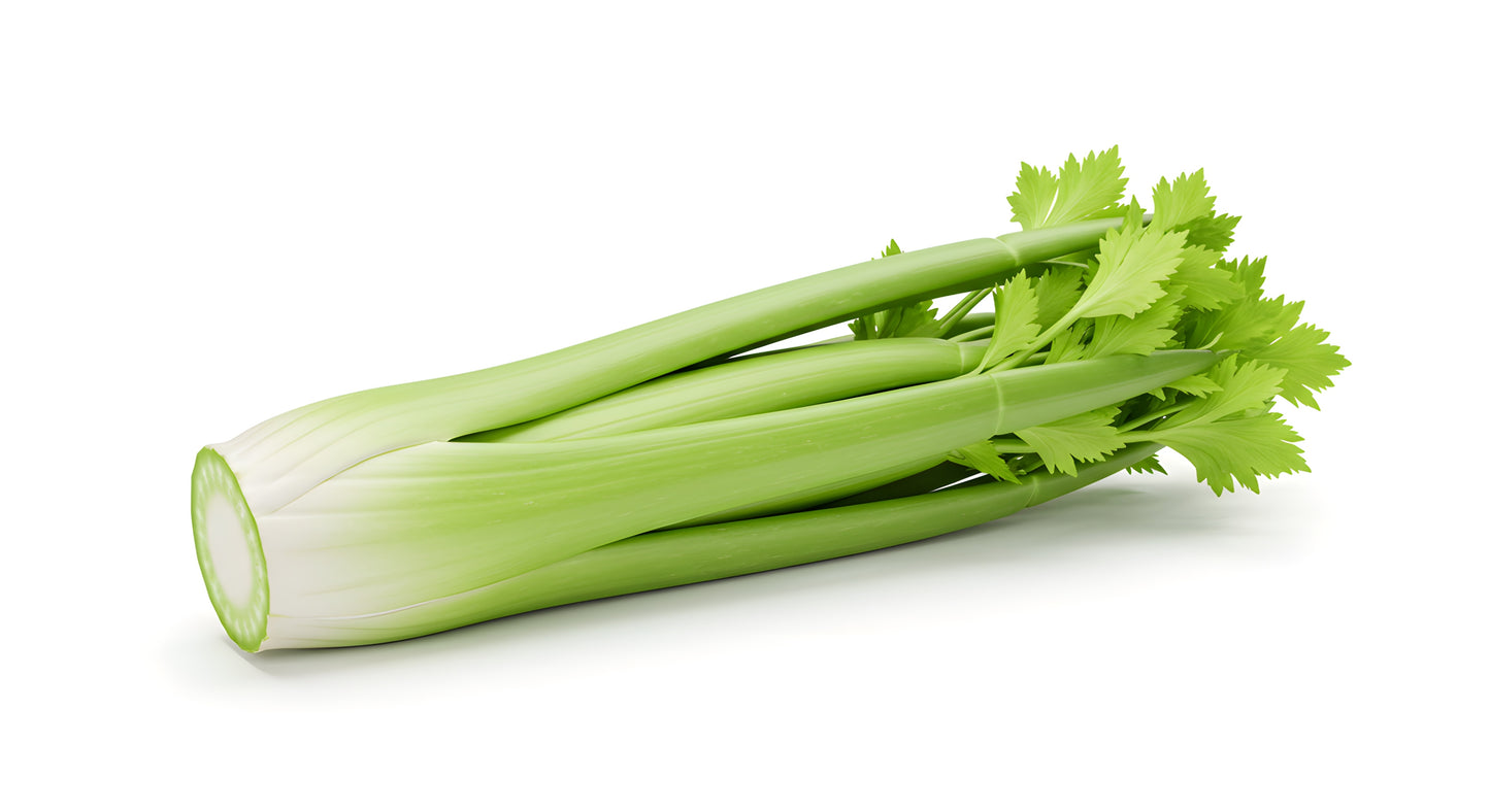 Celery - 24 Cts / Case of 40 lbs