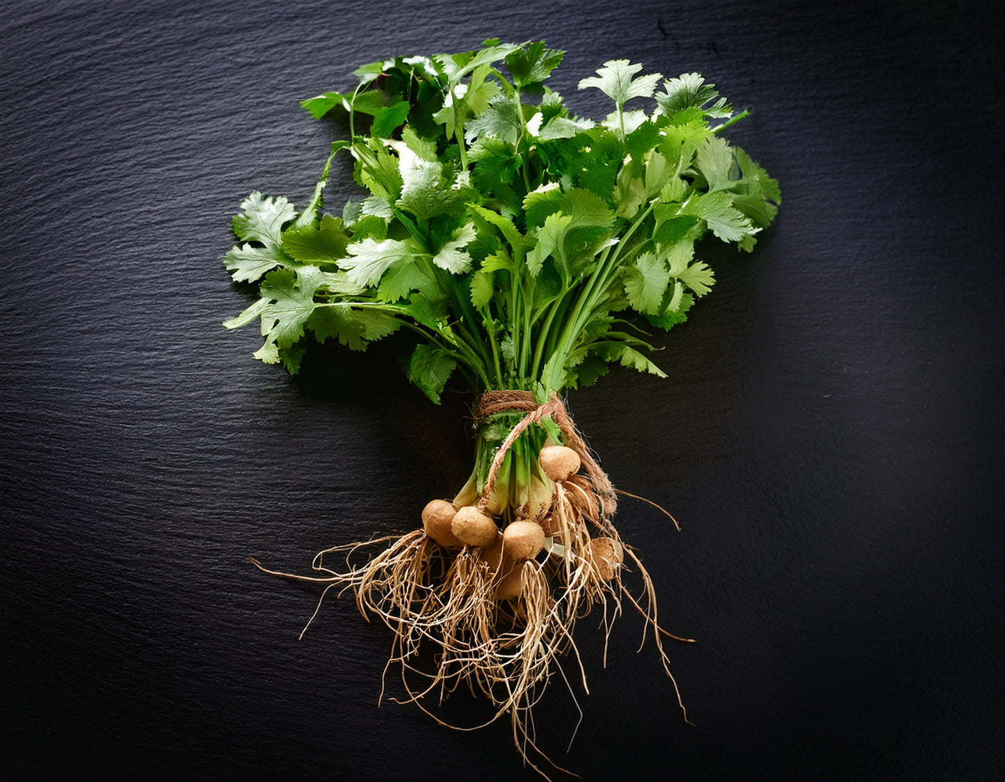 Jicama