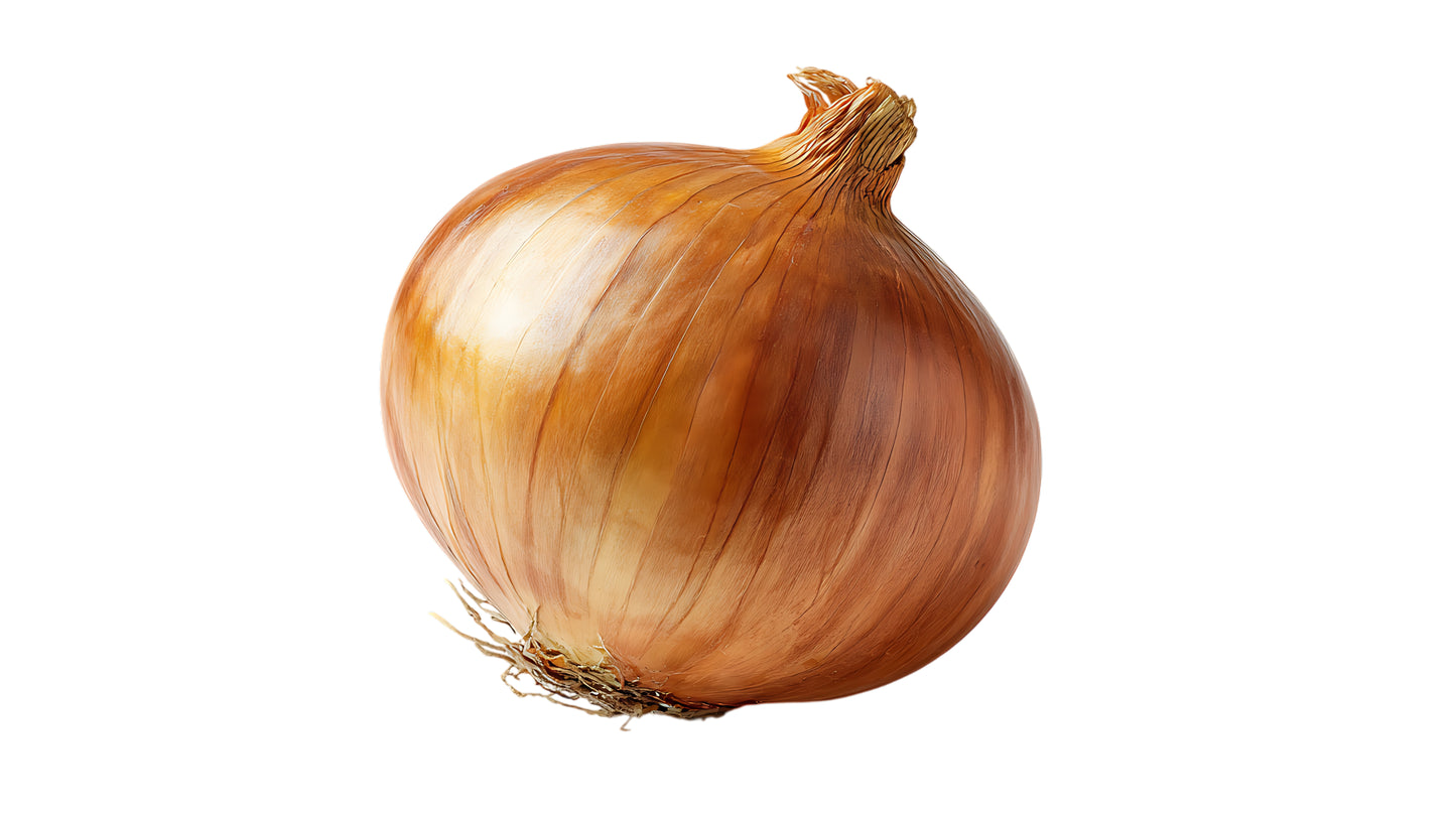 Yellow Onion Colossal - Bag of 50 lbs.
