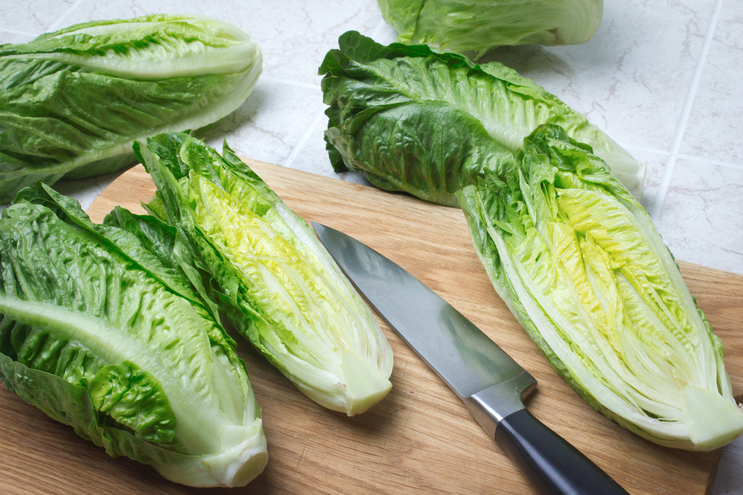 Romaine Lettuce / Case w/24 heads
