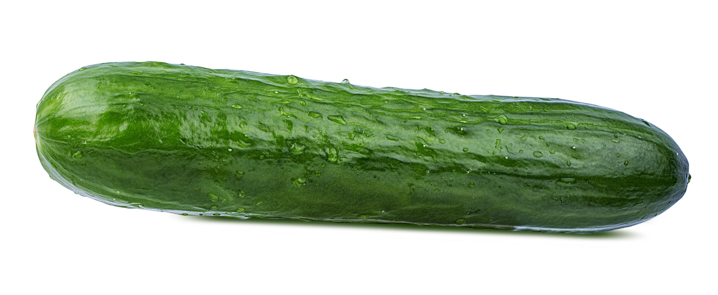 Cucumber Jumbo - Bag of 40 lbs.