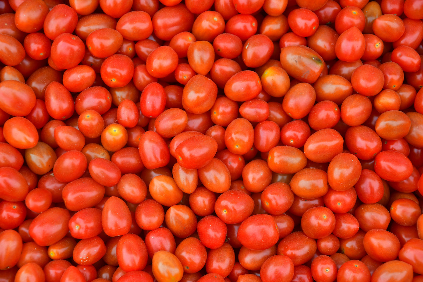 Cherry Tomato - Case of 12 Boxes.