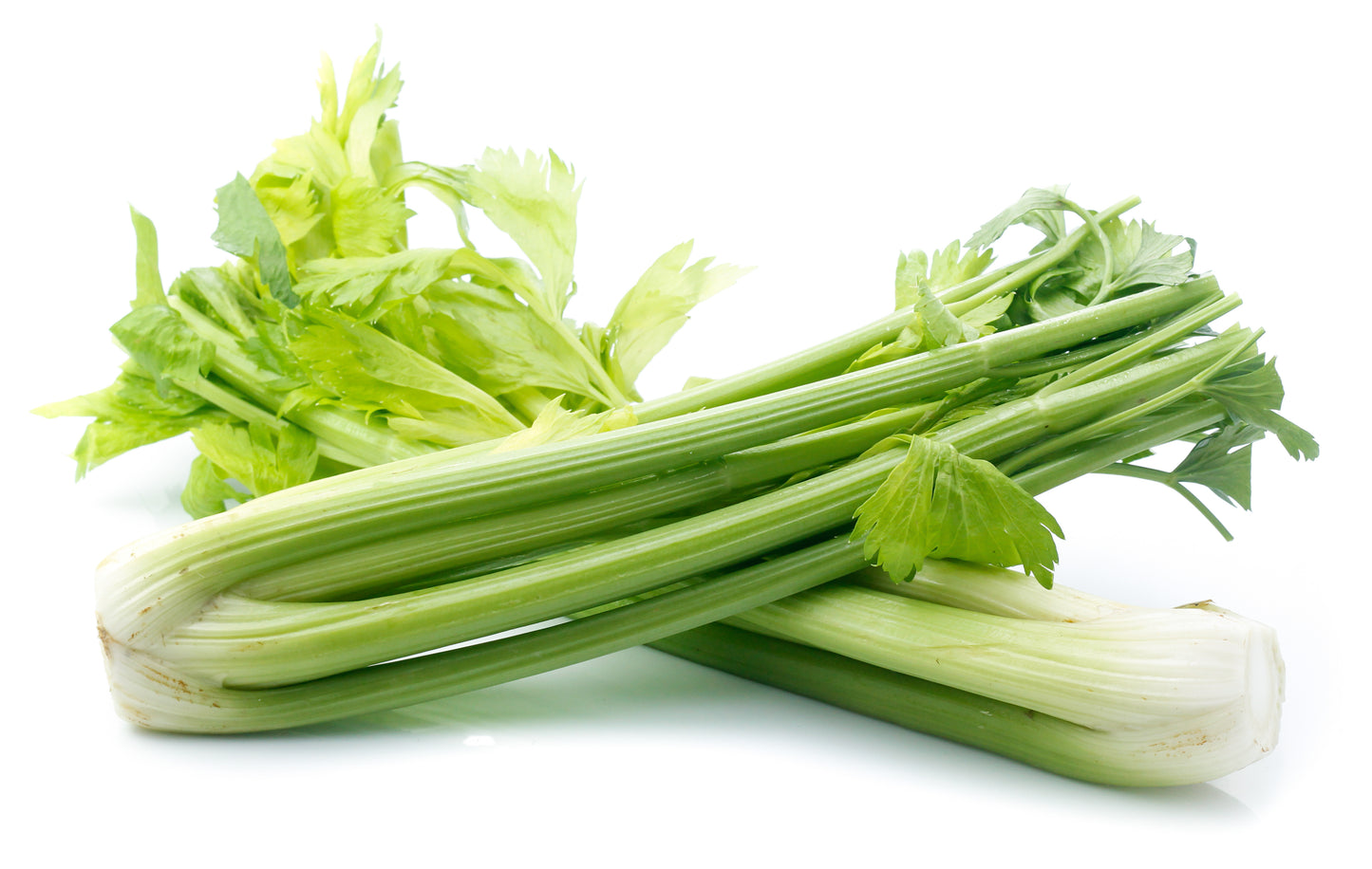 Celery - 24 Cts / Case of 40 lbs