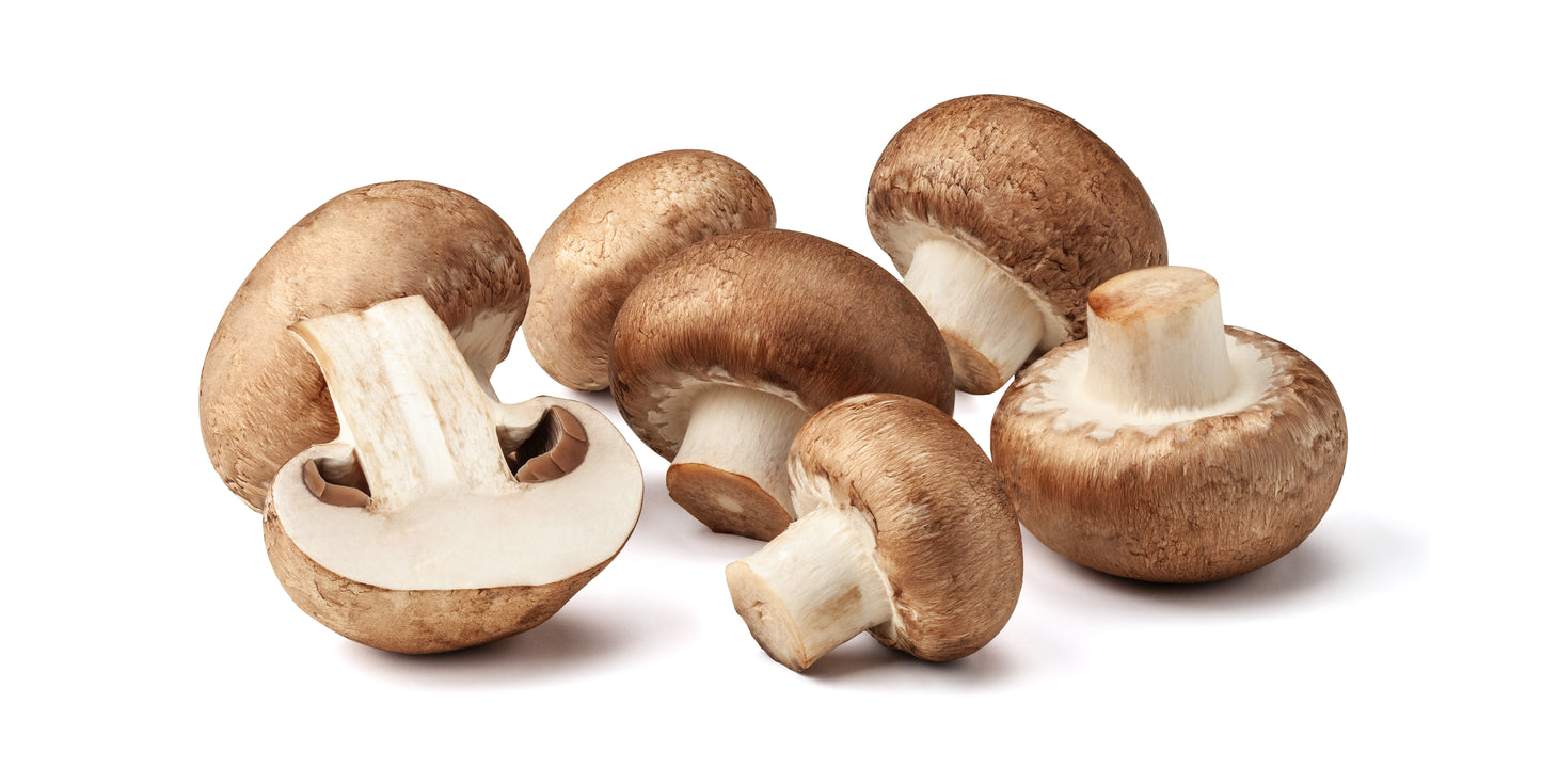 Mushroom - Medium Case of 10 lbs.