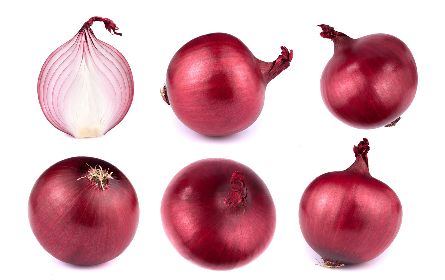Red Onion - Bag of 25 lbs.