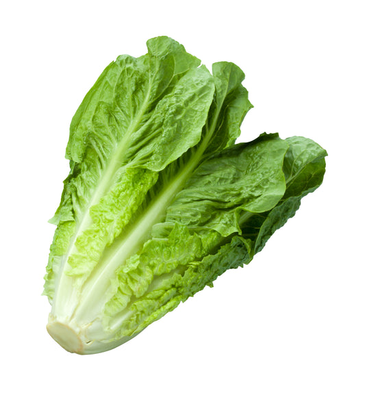 Romaine Lettuce / Case w/24 heads