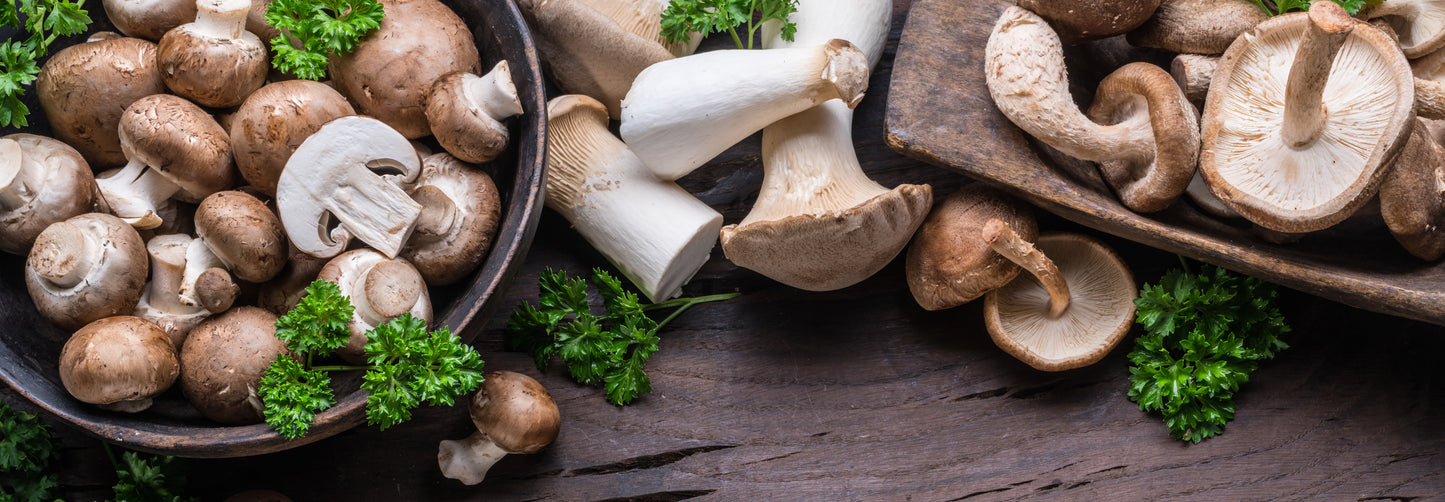 Mushroom - Medium Case of 10 lbs.