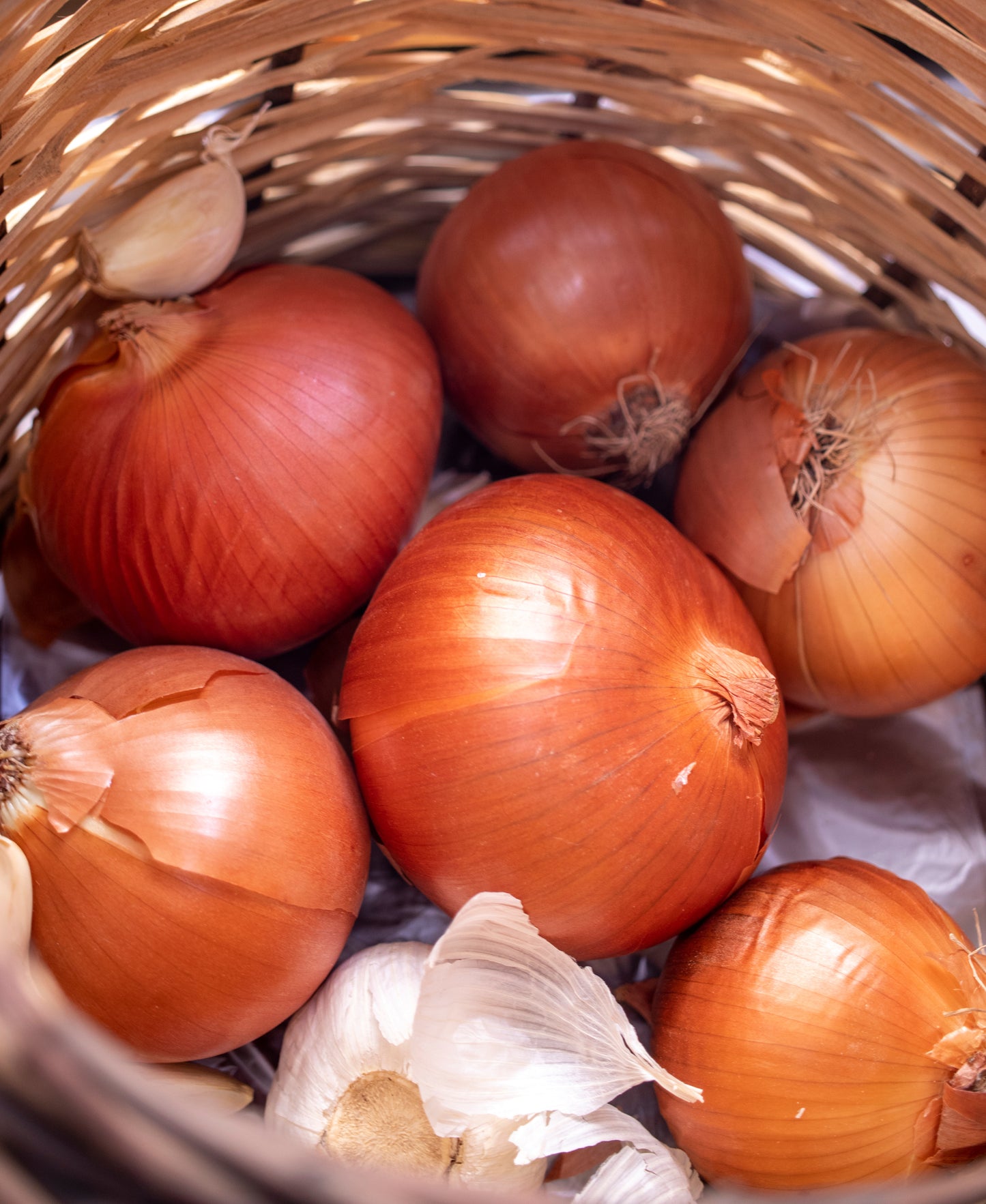 Yellow Onion Jumbo