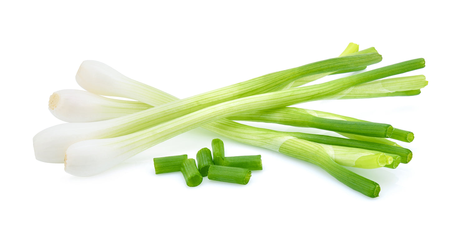 Green Onion - Cebollita Mexicana - 24 Bunches