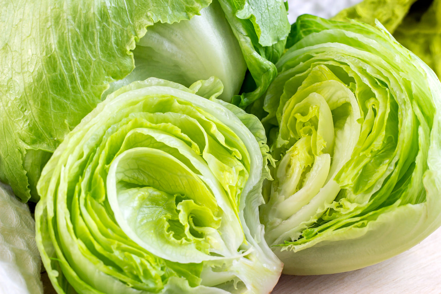 Iceberg Lettuce - Case w/24 Cts