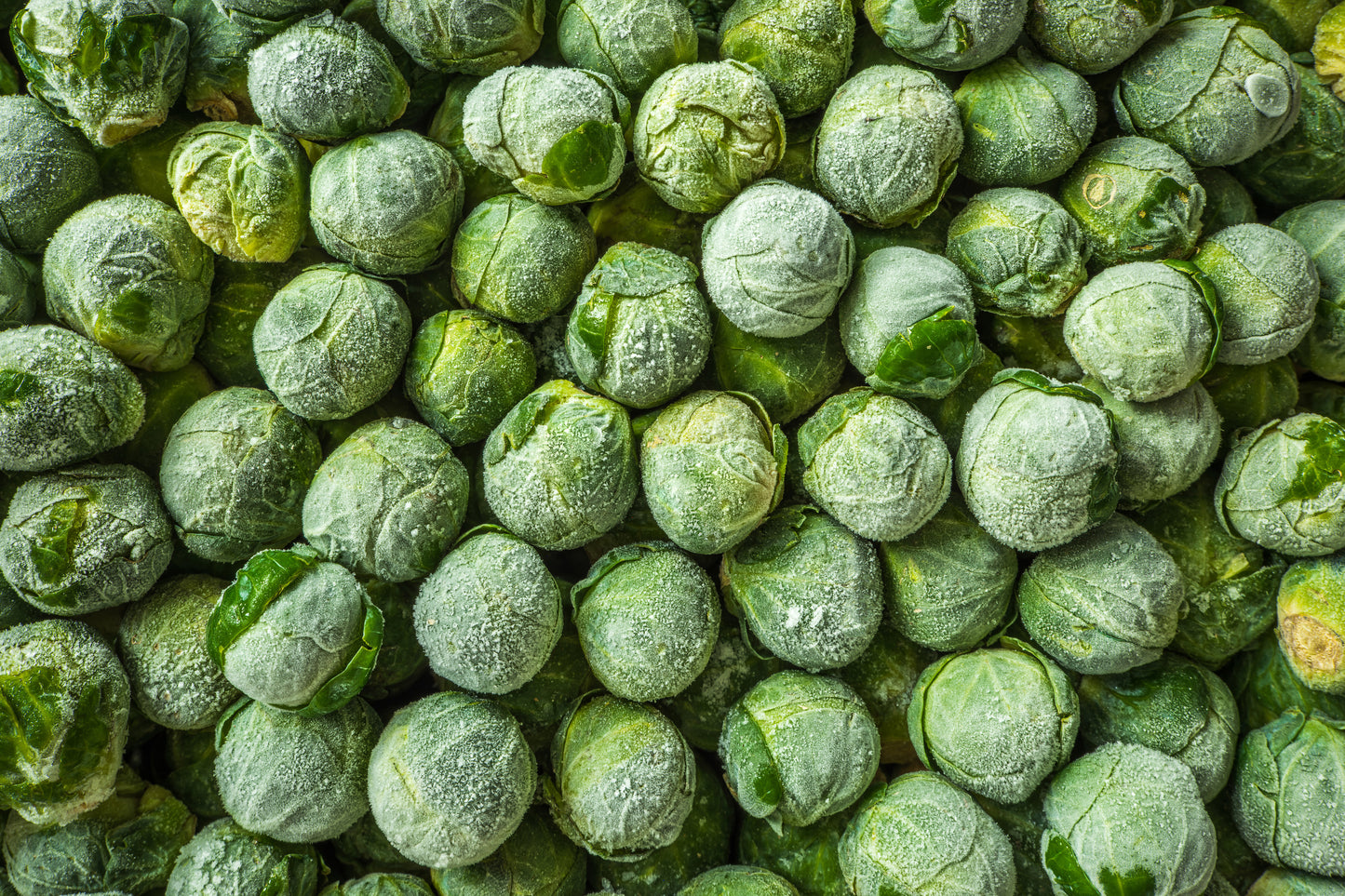 Brussels Sprouts - Large 25 lbs.