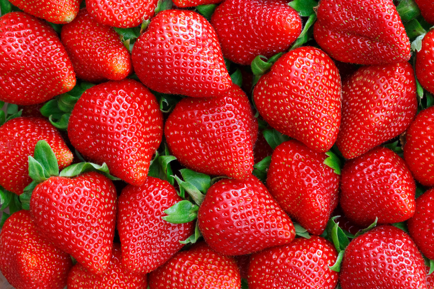 Strawberries Case 4 packs of 2 lbs ea.