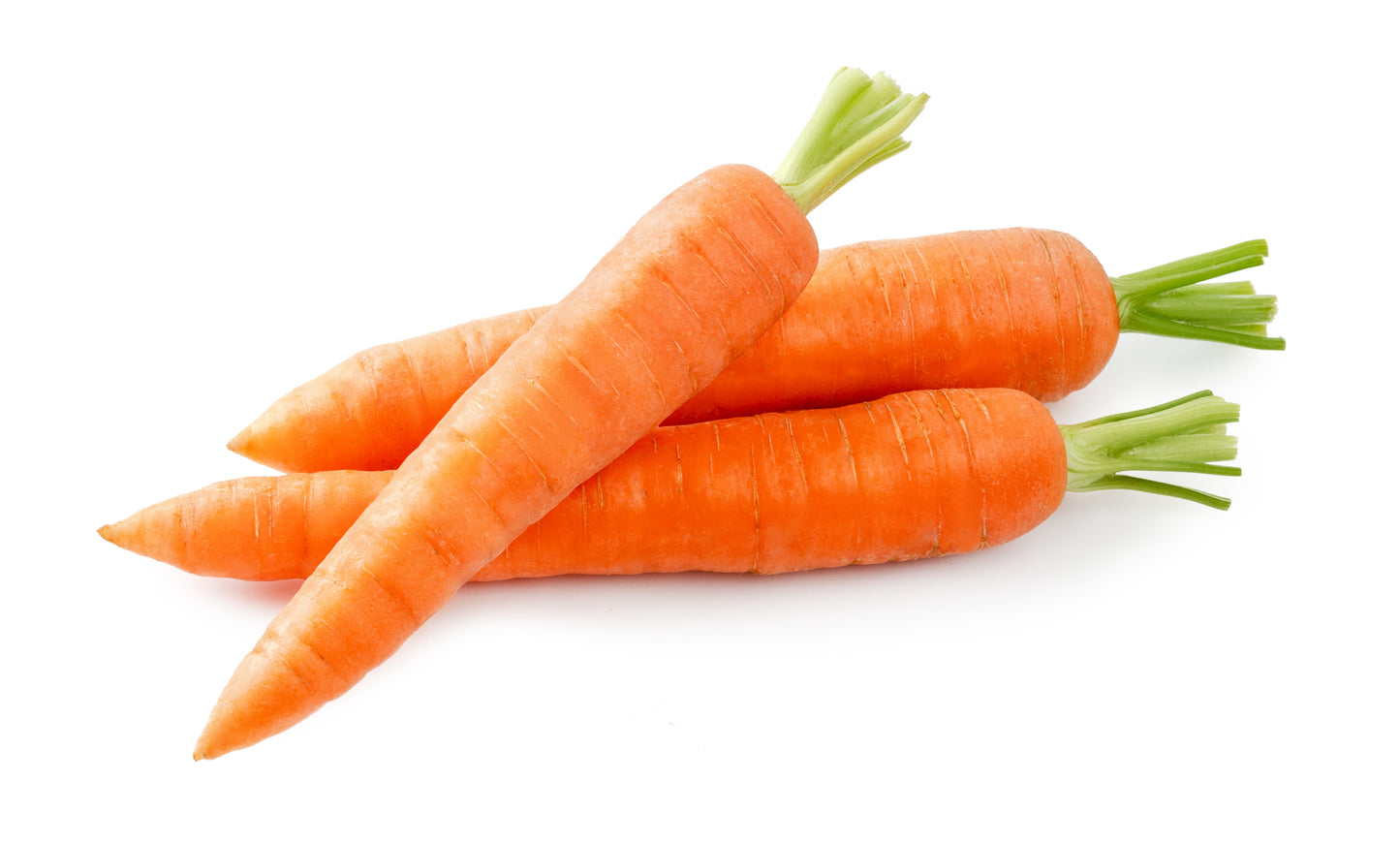 Carrot Jumbo - Bag of 25 lbs.