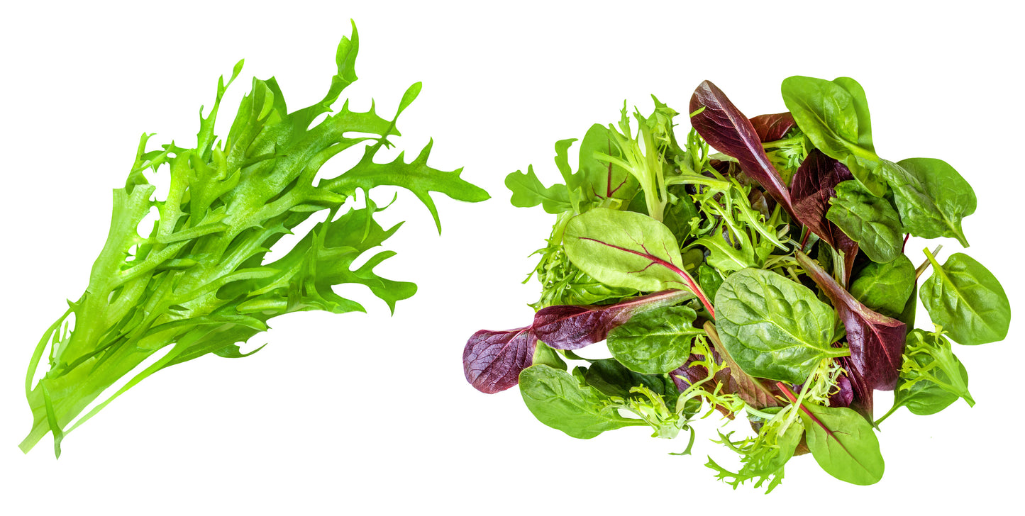 Spring Mix Salad - Case with a bag of 3 lbs.