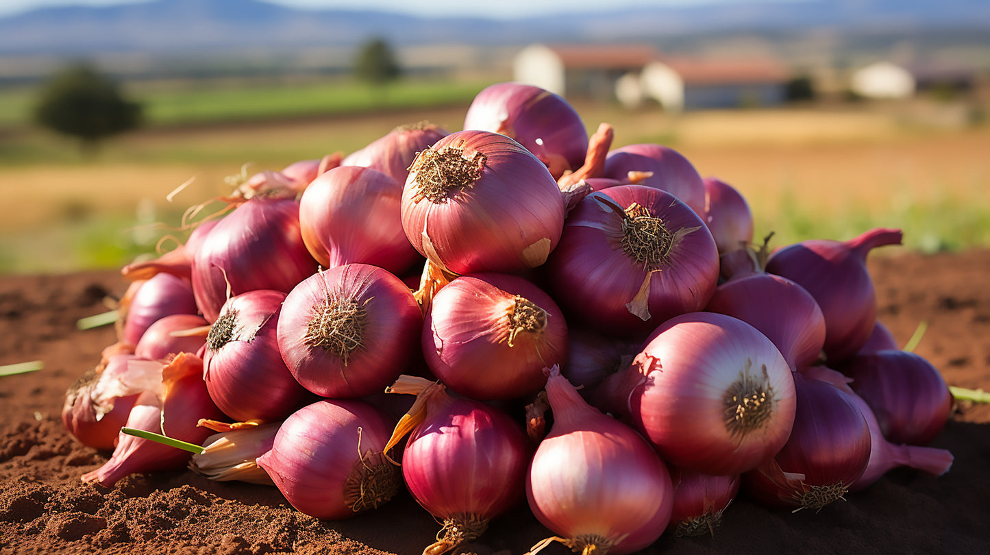 Red Onion - Bag of 25 lbs.