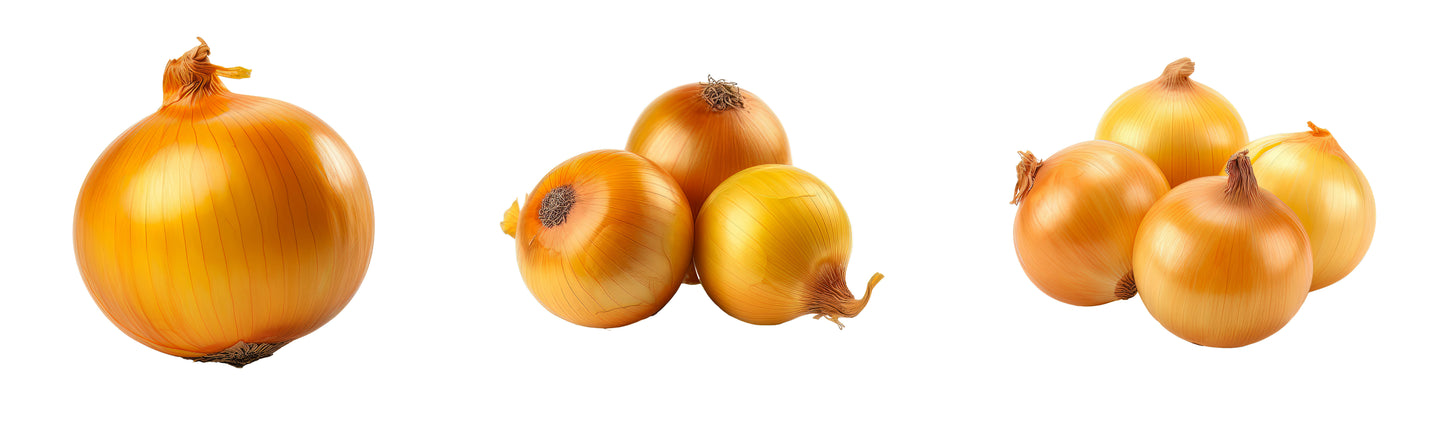 Yellow Onion Colossal - Bag of 50 lbs.