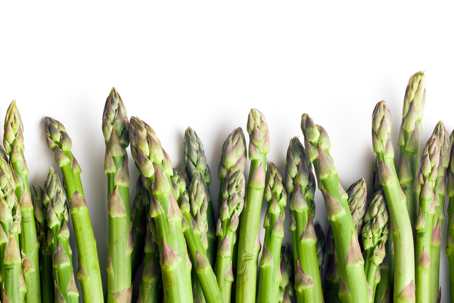 Asparagus Standard Grass Size 11lbs