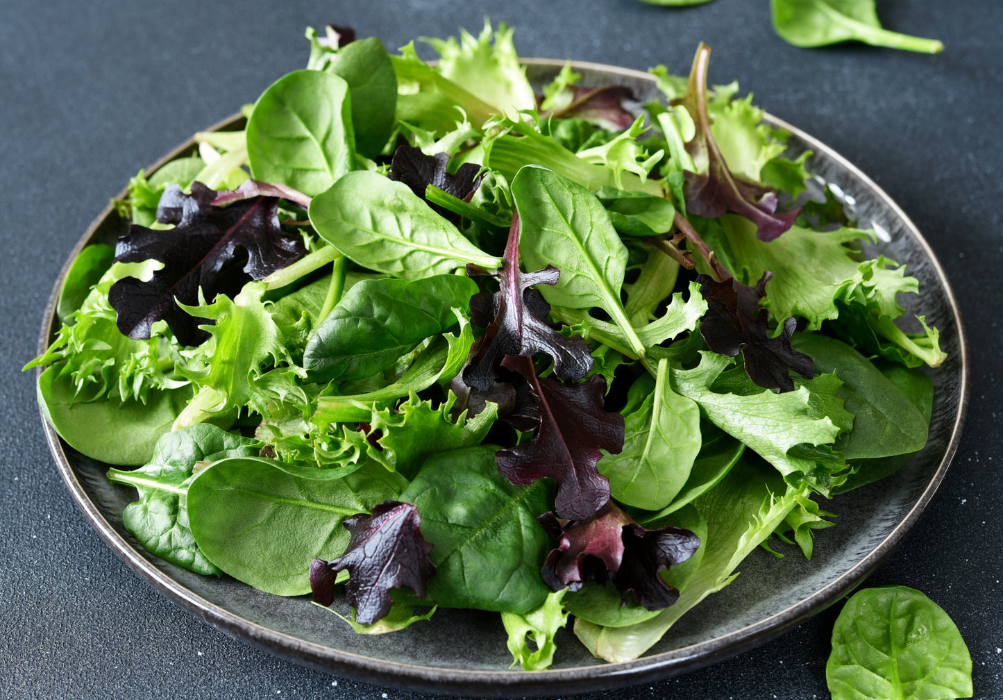 Spring Mix Salad - Case with a bag of 3 lbs.