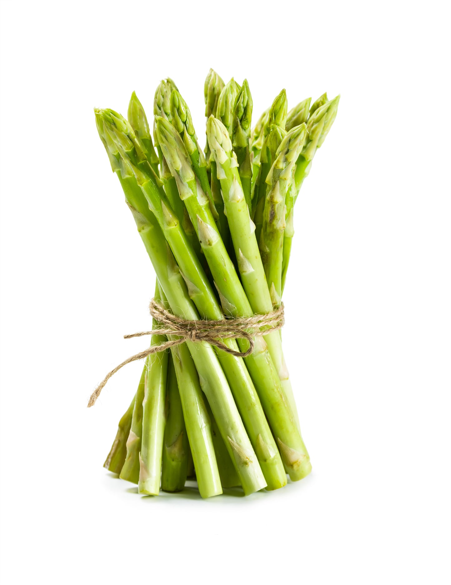 Asparagus Standard Grass Size 11lbs