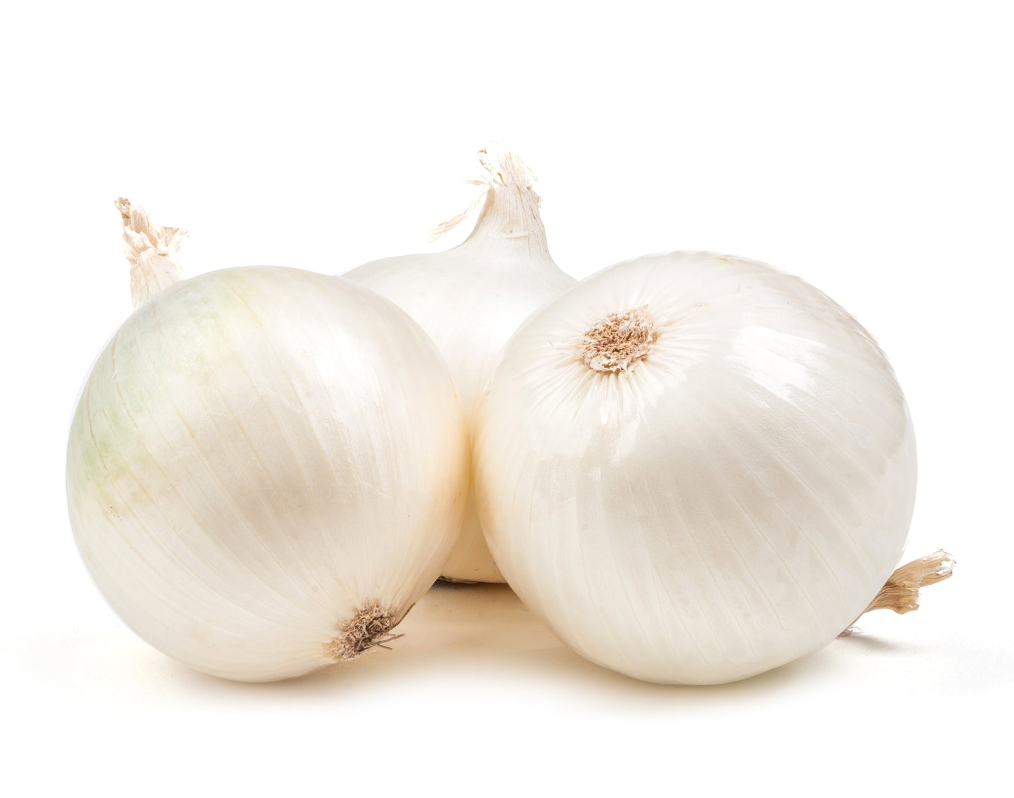 White Onion Jumbo - Bag of 50 lbs.
