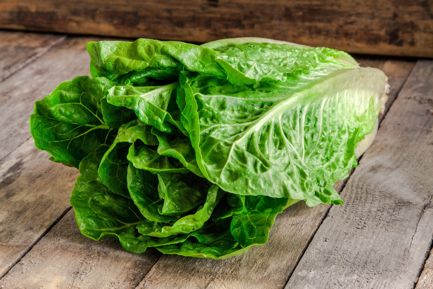 Romaine Lettuce / Case w/24 heads