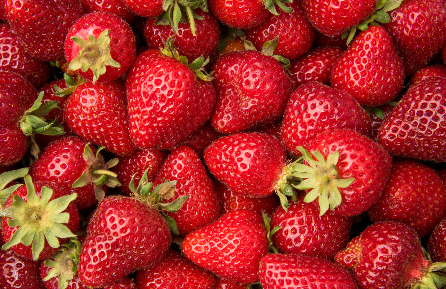 Strawberries Case 4 packs of 2 lbs ea.