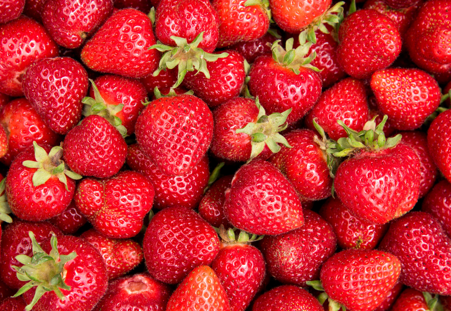 Strawberries Case 4 packs of 2 lbs ea.