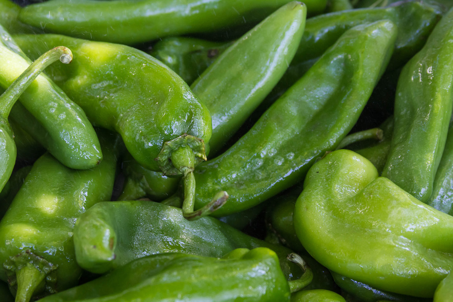 Serrano Pepper - Case of 35 lbs