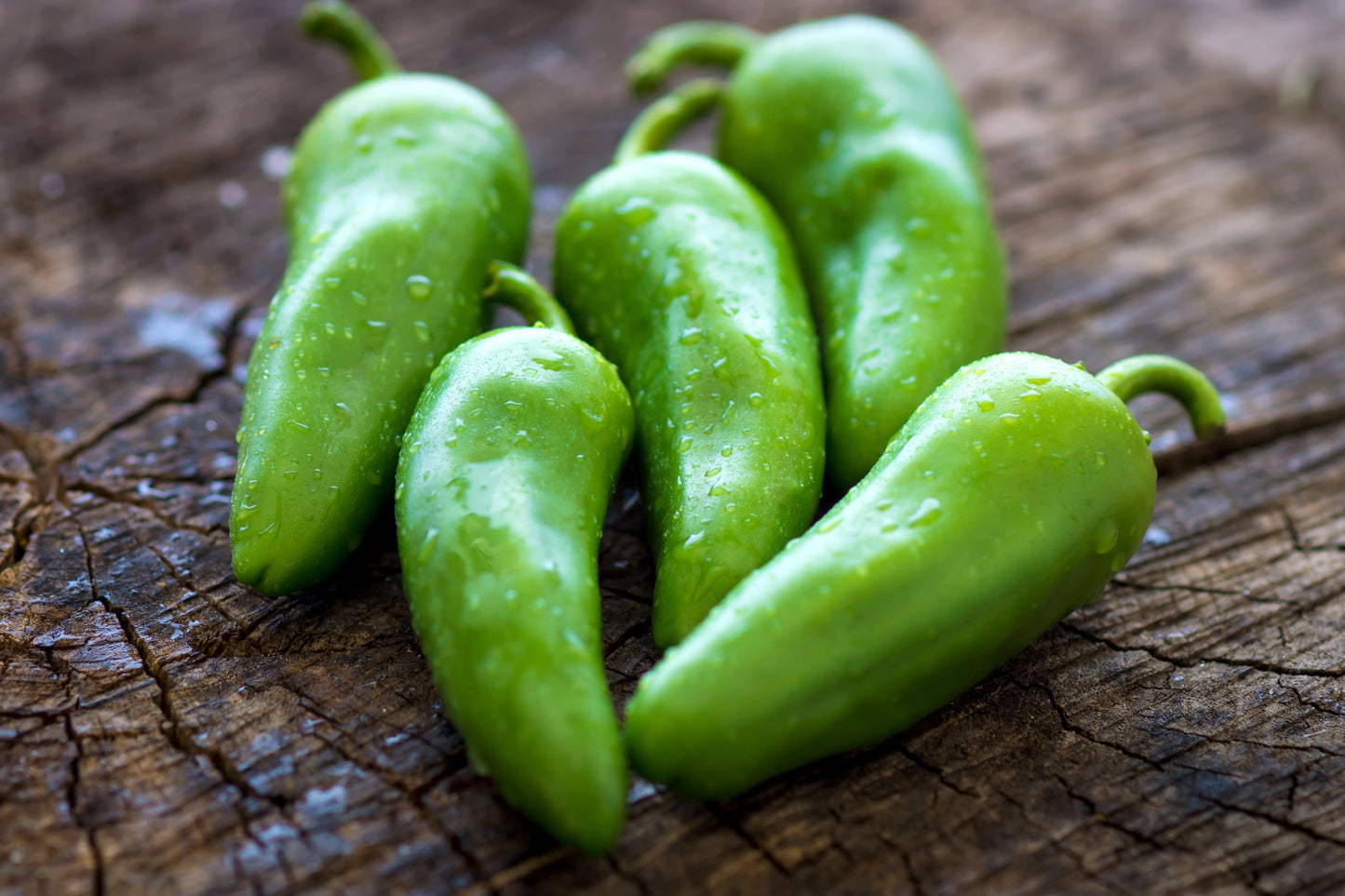 Jalapeno - Chile Jalapeno