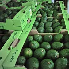 Avocados from Mexico 48´s