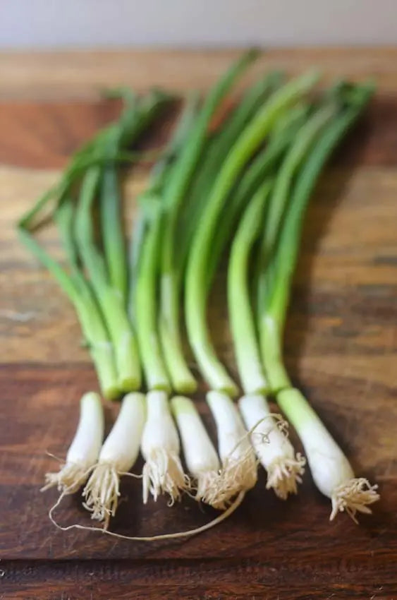 Green Onion - Iceless