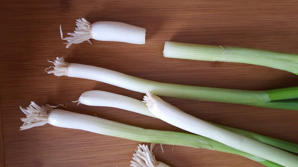 Green Onion - Iceless