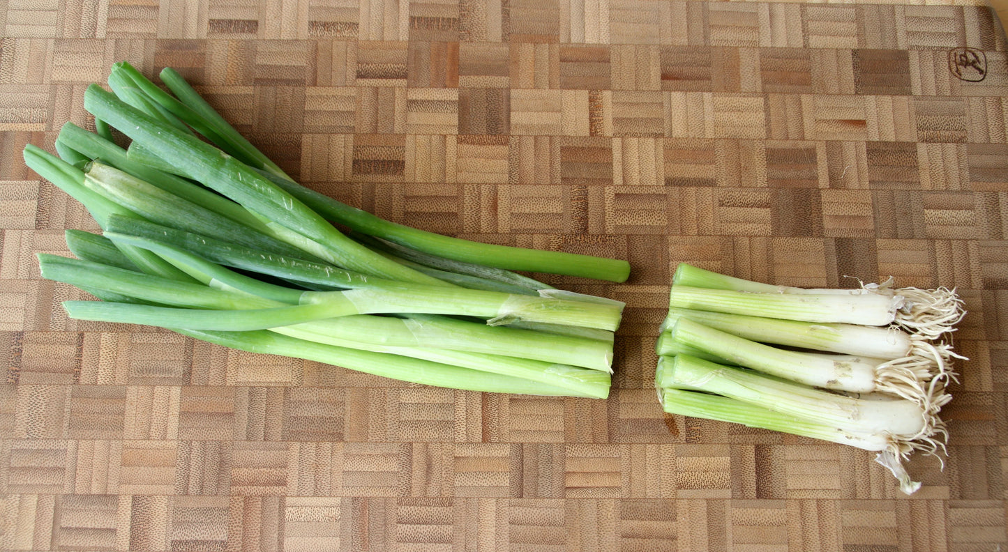 Green Onion - Iceless