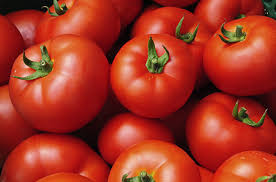 Round Tomato #5