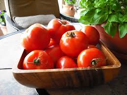 Round Tomato #5