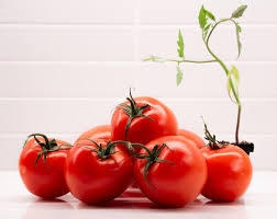 Round Tomato #5