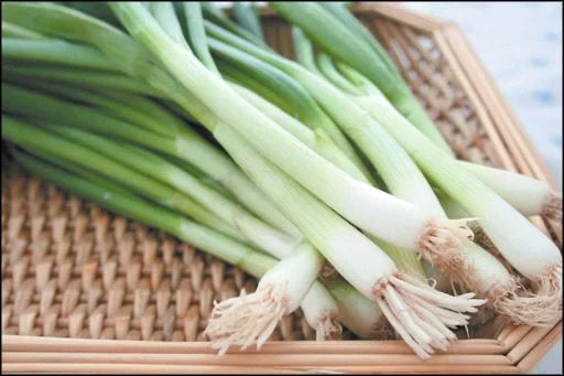Green Onion - Iceless