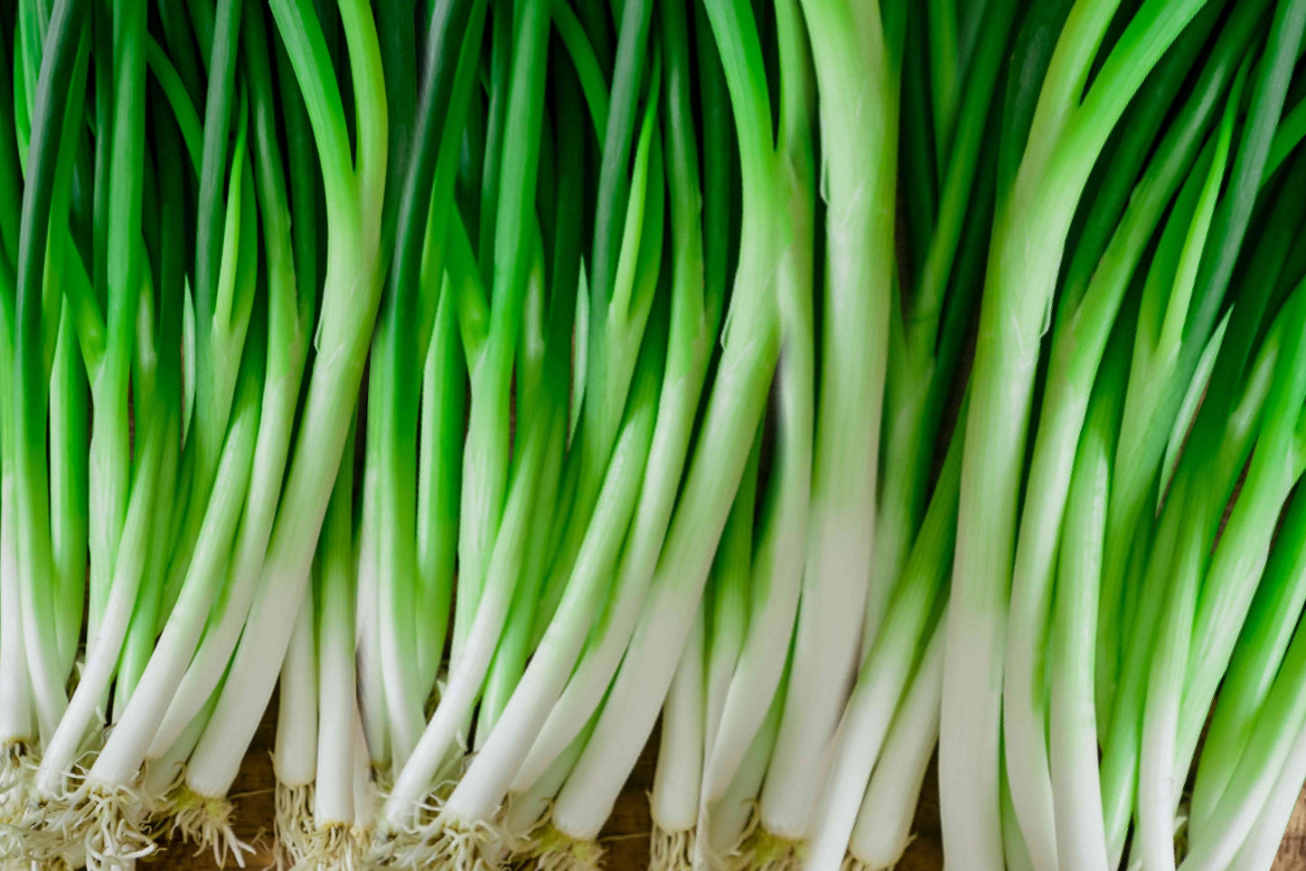 Green Onion - Iceless