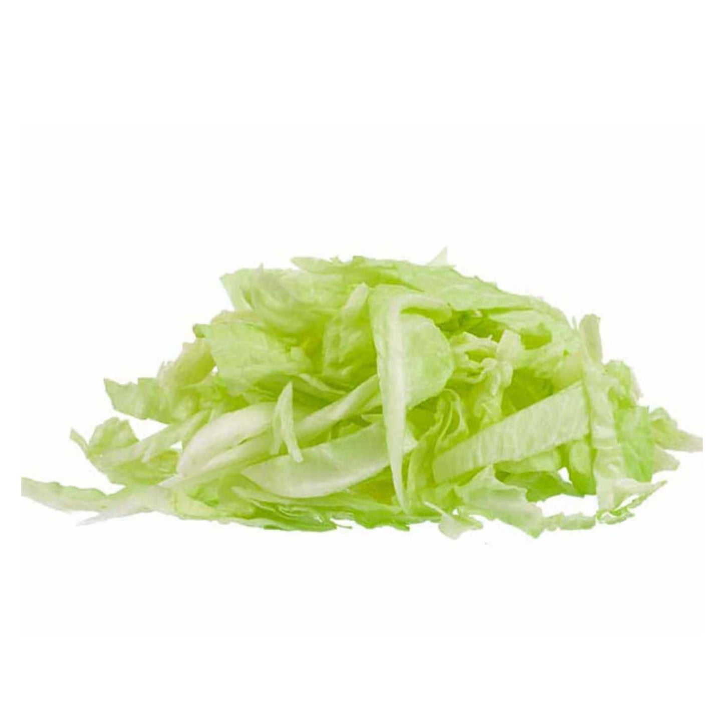 Shredded Iceberg Lettuce
